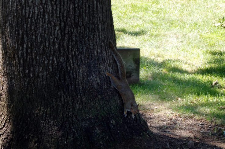 Parkland,WA VIEW DETAILS >